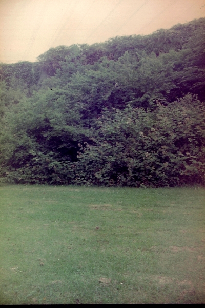 GrünGürtel