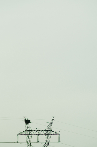drive-by