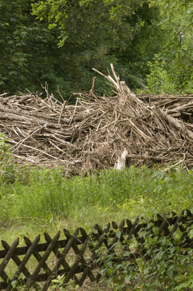 Plänterwald