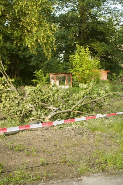 Plänterwald