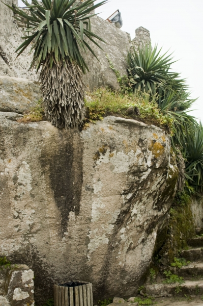 dos mouros