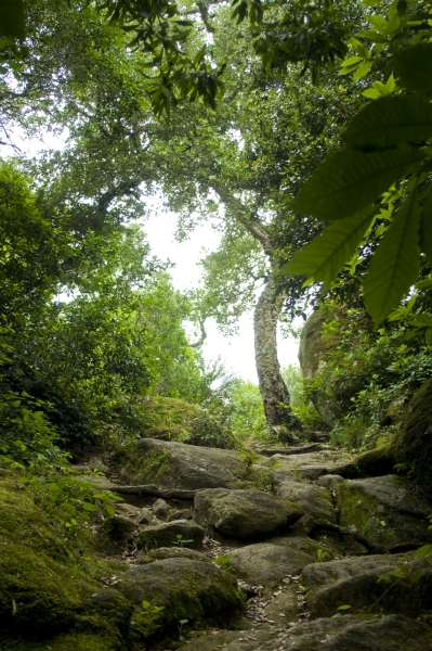 natur