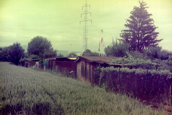 GrünGürtel 2